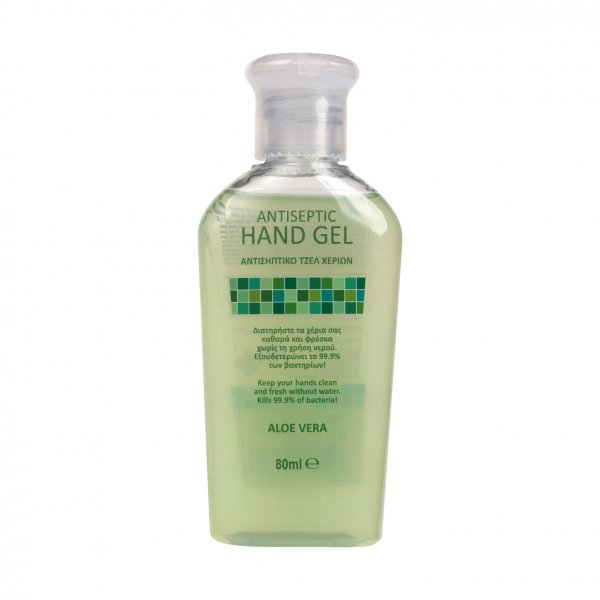 Antiseptic Hand Gel Aloe Vera 80ml