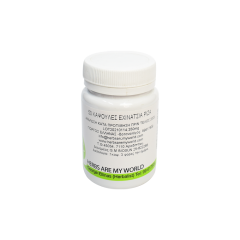 Echinacea Capsules-50 Capsules